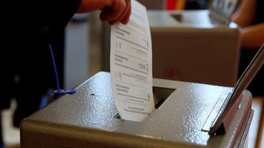 В Литве с президентскими выборами пройдут референдумы о гражданстве и парламенте