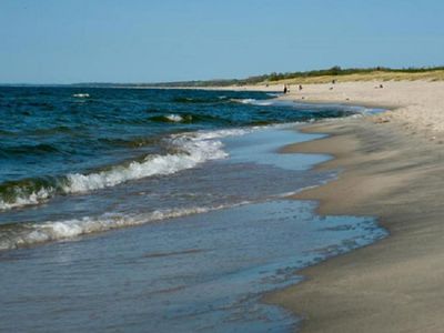 На дне Балтийского моря ученые обнаружили древний лес - Это интересно