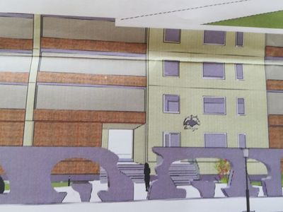 Какой задумывалась ул. Висагино, и почему сбудутся не все планы? - В Висагинасе