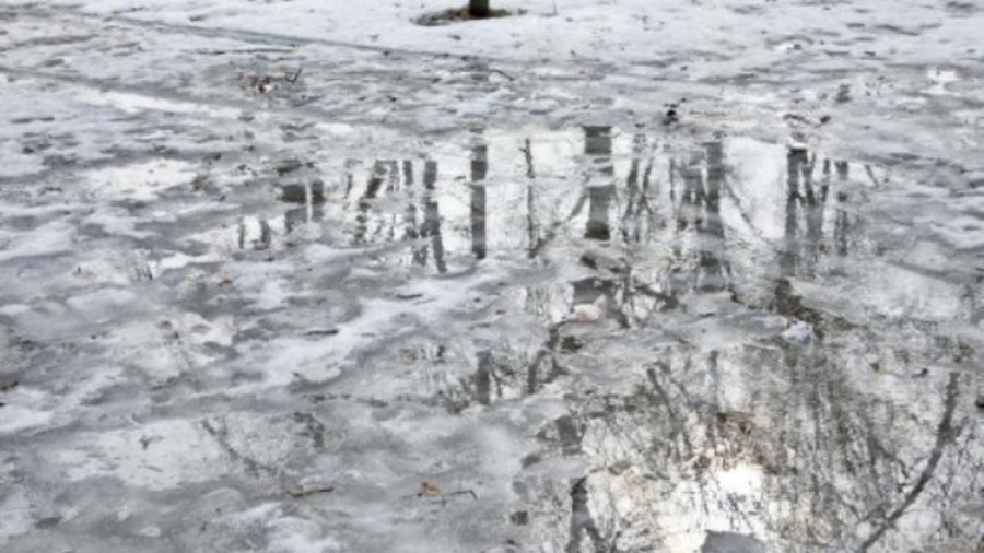 Savaitės orai: ar žiema jau pabėgo iš kiemo?
 - Lietuva ir Baltijos šalys