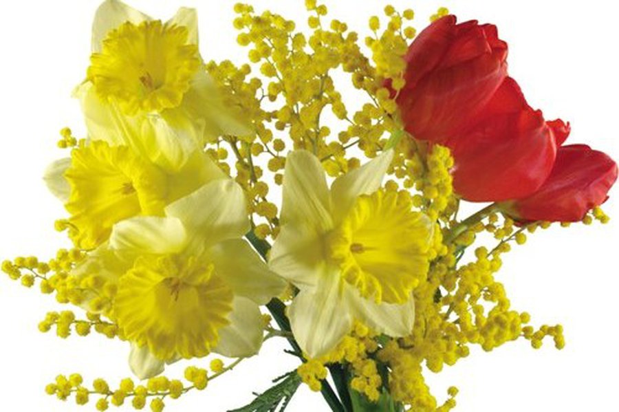 Приглашаем на праздничный концерт «С любовью к женщине»                                                                                                - В Висагинасе