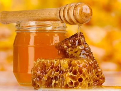 Как выбрать качественный мед? - Наука и здоровье