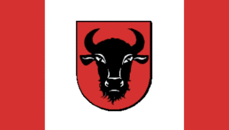 В Висагинасе побывала делегация из польского города-побратима - В Висагинасе