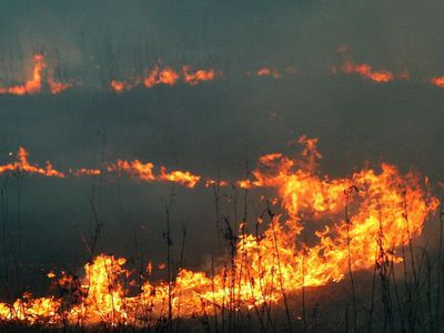 На улице Яунистес – еще один пожар на открытой территории - В Висагинасе