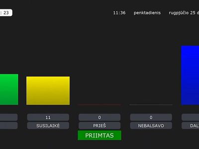 Почему проект стратегии местного развития был с трудом  поддержан Советом? (видео) - В Висагинасе