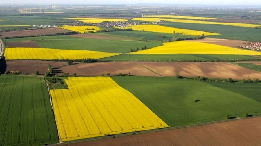 Сейм отказался от предохранителей, связанных с приобретением земли сельхозназначения, - Литва и страны Балтии