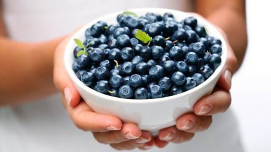 Черника — королева ягод - Наука и здоровье