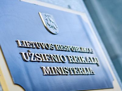 Литва призывает Россию признать выводы о ее роли в крушении самолета MH17 - Литва и страны Балтии