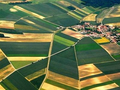 Право собственности на землю восстановили около миллиона граждан Литвы. - Литва и страны Балтии