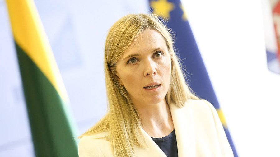 А. Билотайте о строящемся на границе с Беларусью заборе: не хочу, что это стало проектом "золотого забора" - Литва и страны Балтии