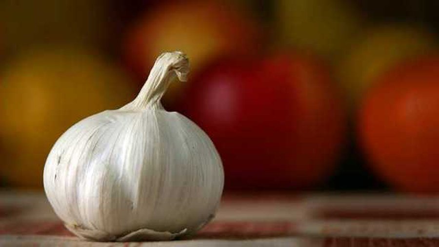 От рака спасет чеснок  - Наука и здоровье