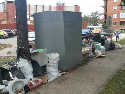 Что происходит? Из-за переполненных контейнеров люди несут мусор обратно домой - В Висагинасе