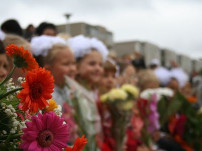 Цыплят по осени считают (добавлено фото) - В Висагинасе