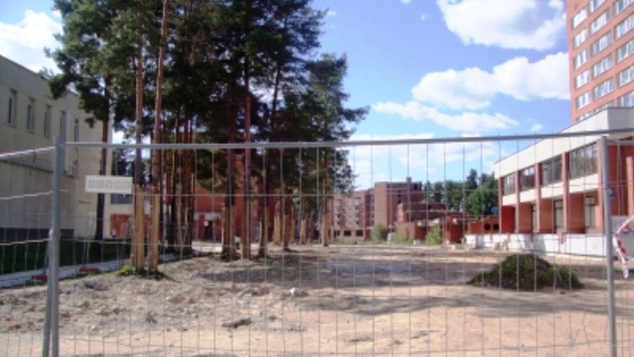 Аллея Седулинос в фактах и цифрах - В Висагинасе