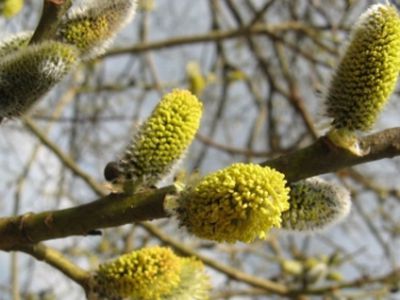 Orai: termometro stulpelis šoktels iki 20 laipsnių - Lietuva ir Baltijos šalys