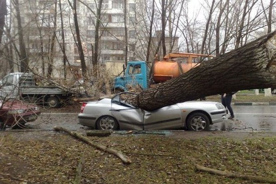 Ветер разбушевался на территории всей Литвы