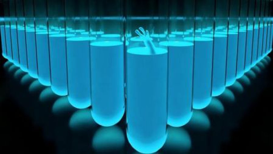 В Литве опасаются смертельного для животных эпидемии вируса из Калининграда, которого не было больше 20 лет

 - Наука и здоровье