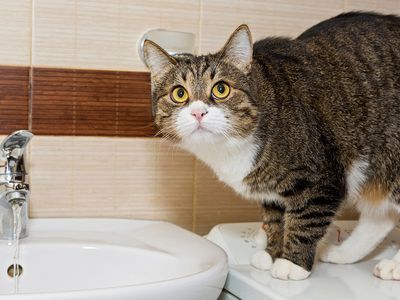 Об отключении холодной воды - В Висагинасе