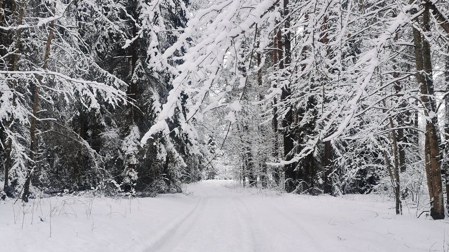 Литва обеспечила себя газом на зиму