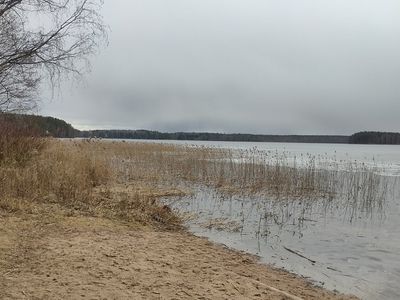 Планируется привести в порядок места для купания на берегу Висагинского озера - В Висагинасе