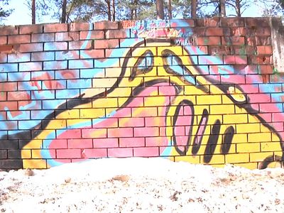 Граффити — искусство или обыкновенное хулиганство? - В Висагинасе