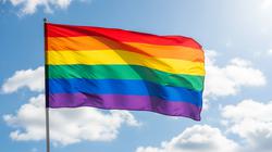 ЕС обязал страны признавать однополые браки, заключённые в других государствах