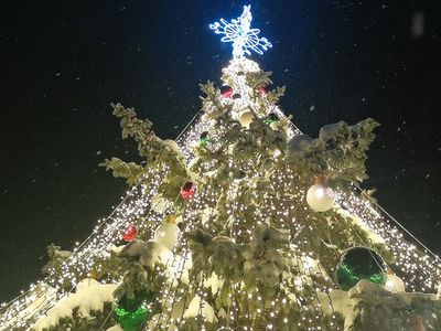 Елочка зажглась и будет радовать нас до Старого Нового года  (видео) - В Висагинасе