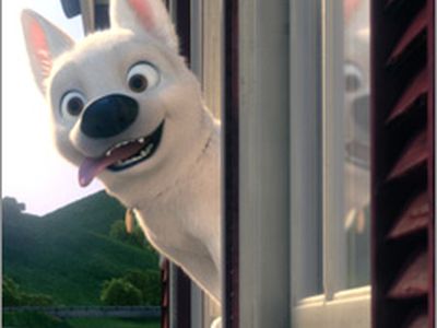 Как сложно быть суперсобакой - Культурные и спортивные мероприятия