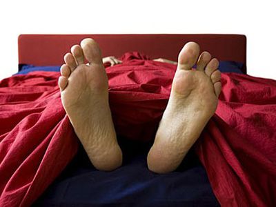 Малоактивный образ жизни укорачивает жизнь - Наука и здоровье