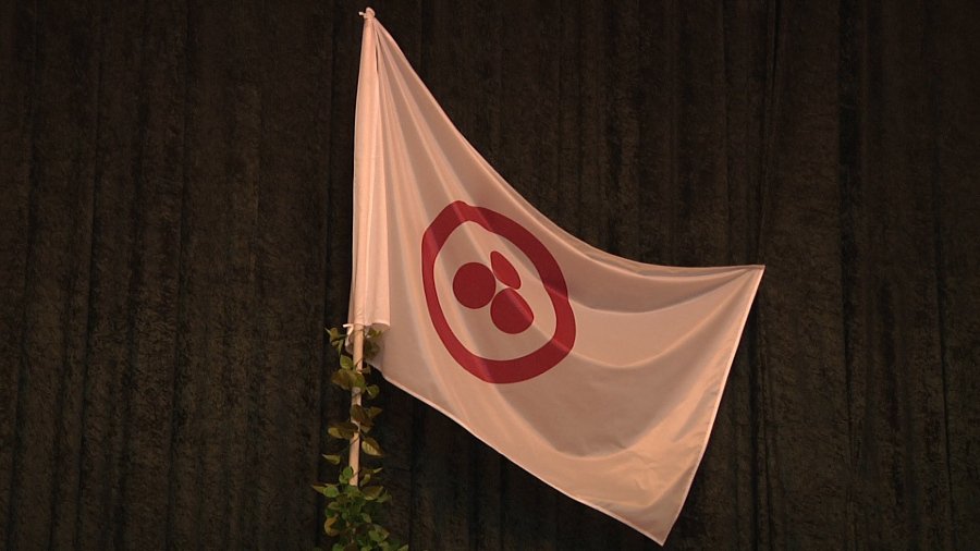 В Висагинасе отметили Международный день культуры - В Висагинасе