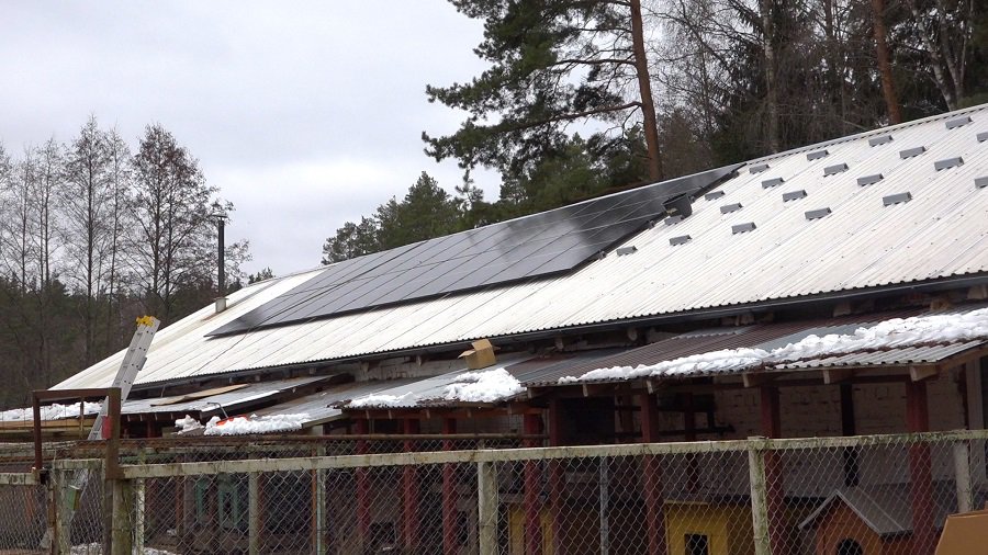 Приют для животных «Gyvūnų šansas» станет производителем собственной электроэнергии (видео) - В Висагинасе