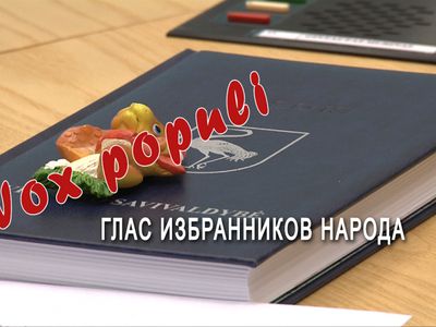 Глас избранников народа о 2013 годе - В Висагинасе