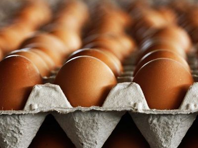 Торговые центры в Литве намерены отказаться от самых дешевых яиц - Литва и страны Балтии
