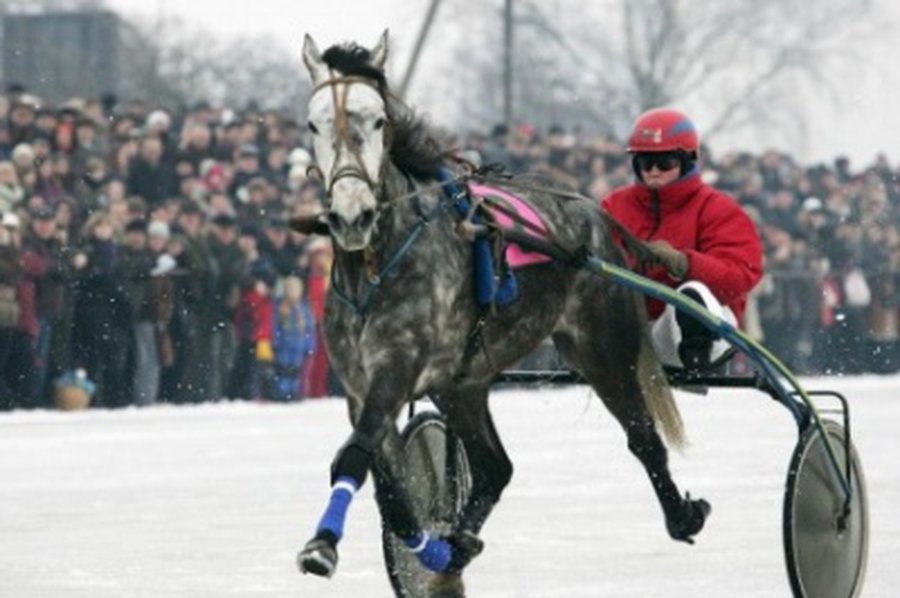 Sartų lenktynėms jau ruošiamas ledas - Lietuva ir Baltijos šalys