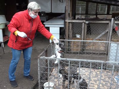 Как живет приют «Padėk man» в условиях карантина? (видео) - В Висагинасе