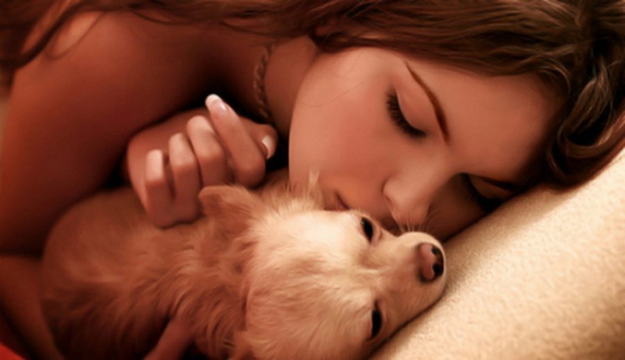 Целовать домашних животных опасно для здоровья - Наука и здоровье