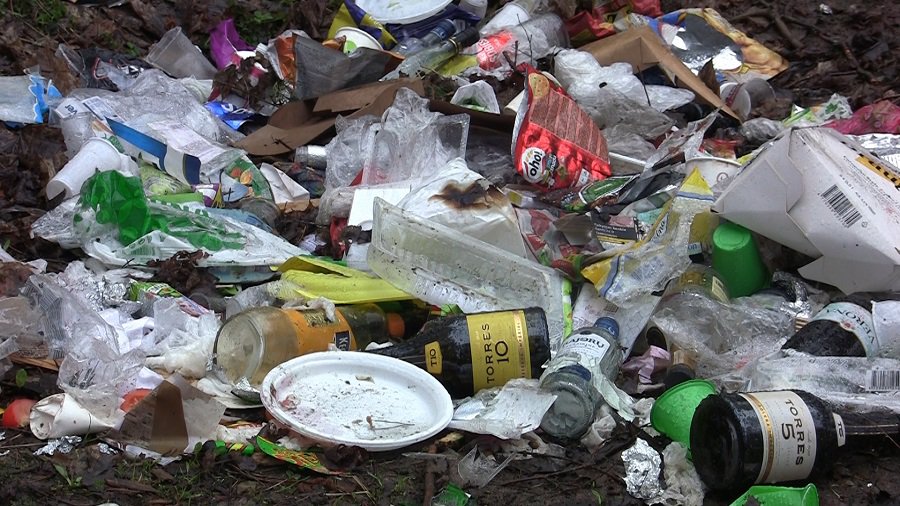 Висагинские леса буквально задыхаются от мусора (видео) - В Висагинасе