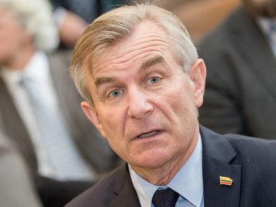 Председатель Сейма был прав: недоверие к Сейму за последний месяц увеличилось - Литва и страны Балтии