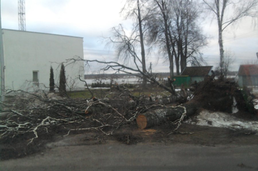 Vėjas kelininkams pridarė dešimtis tūkstančių litų nuostolių                 - Lietuva ir Baltijos šalys