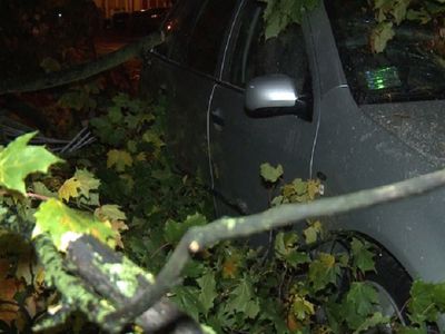 Два человека погибли из-за урагана в Польше - В Мире