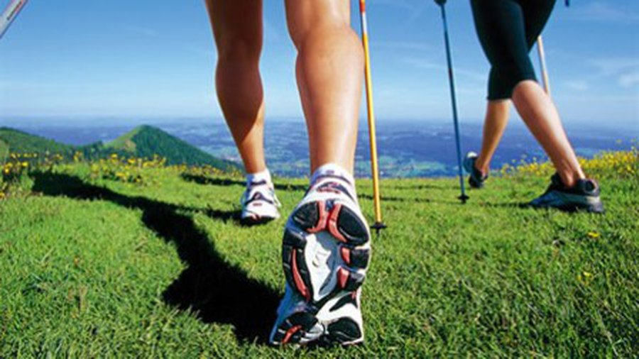 Спорт омолаживает мозг! - Наука и здоровье