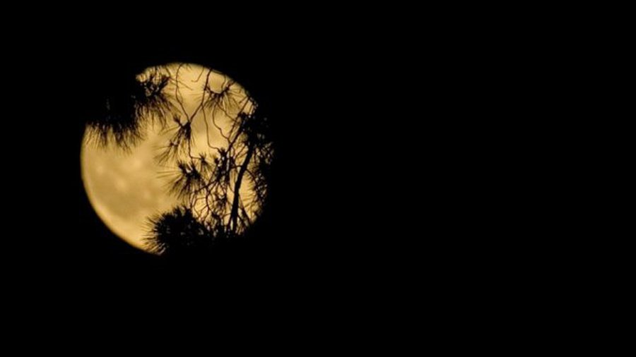 Как Луна влияет на наш сон - Наука и здоровье