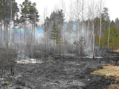 Задержаны поджигатели — пострадают родители  - В Висагинасе