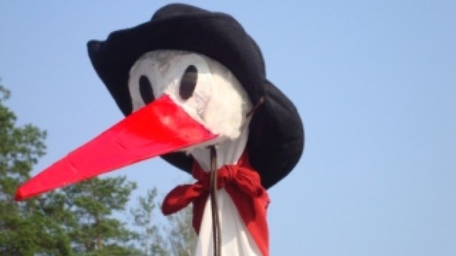 Где пройдет «Visagino country 2014»? - В Висагинасе