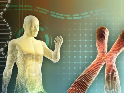 Биолог объяснил, почему ухудшается человеческий генофонд - Наука и здоровье