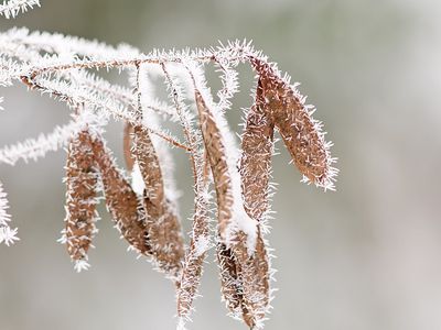 Погода в Литве все больше напомнит зимнюю - Литва и страны Балтии