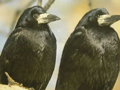 БЕЗ ЦЕНЗУРЫ: В одной лодке - Без цензуры