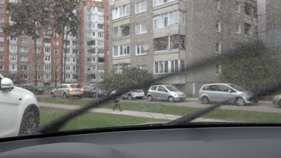 В Литве шел грязный дождь: метеоролог объяснил, в чем причина - Литва и страны Балтии