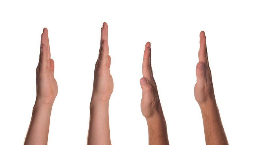 Ю. Шовене поддержала бы инициативу по снижению планки для референдумов - Литва и страны Балтии