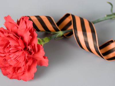 Киев отказался от георгиевской ленты как символа дня Великой Победы - В Мире